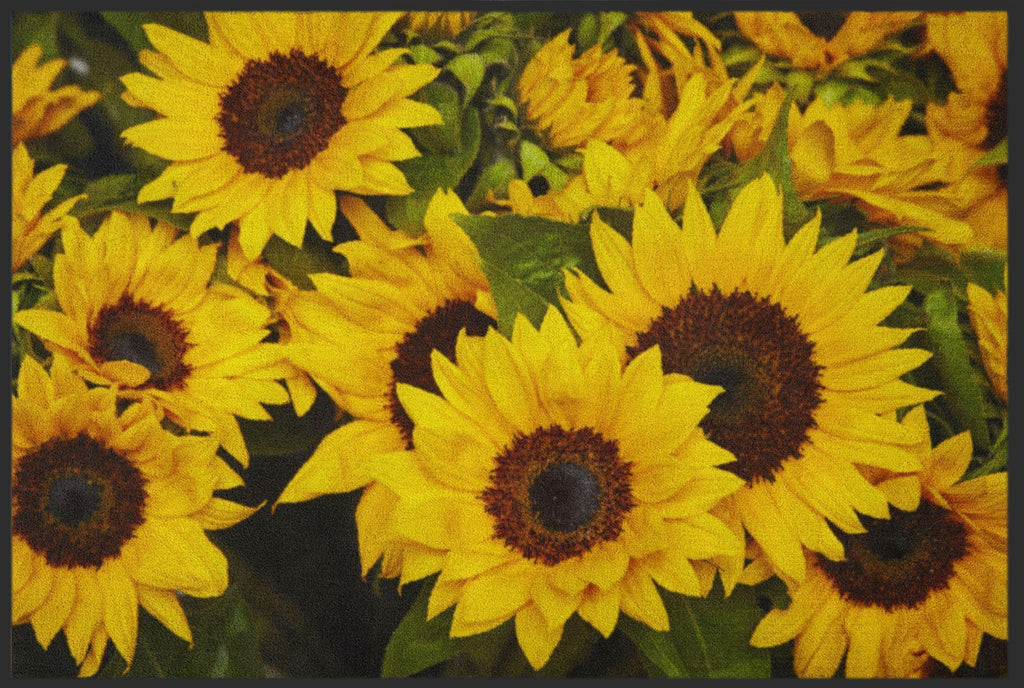 Fussmatte Sonnenblumen 4221-Logomatten Welt