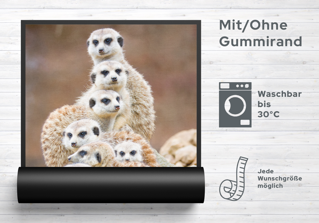 Fussmatte Erdmännchen 7678