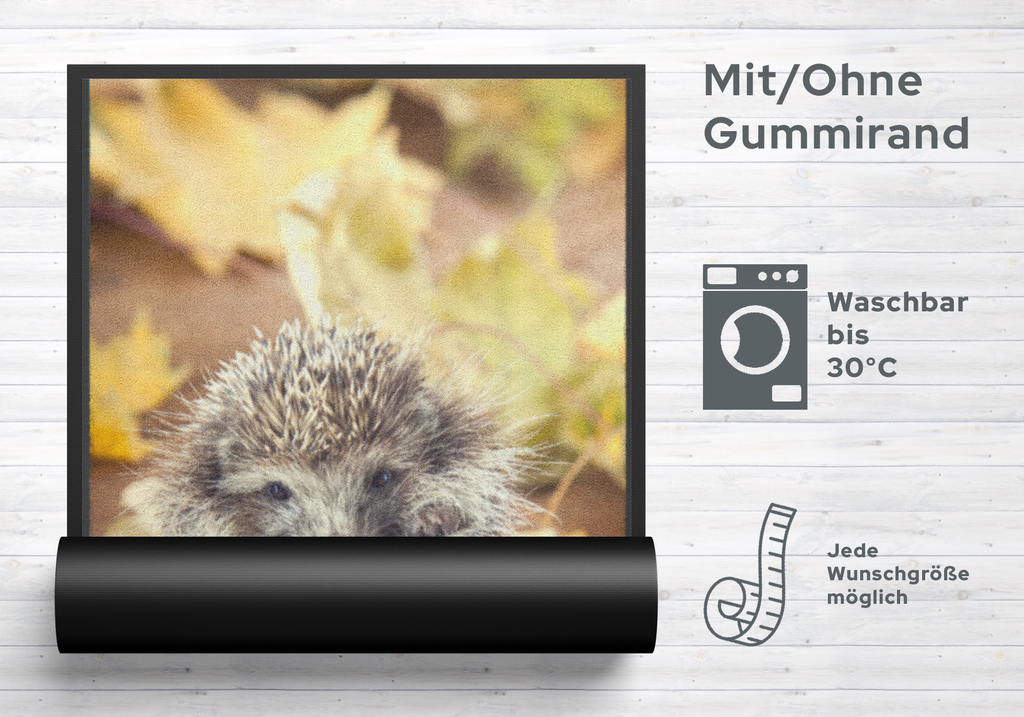 Fussmatte Igel 7084