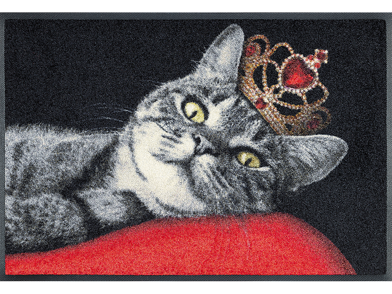 Royal Cat wash + dry Fußmatte