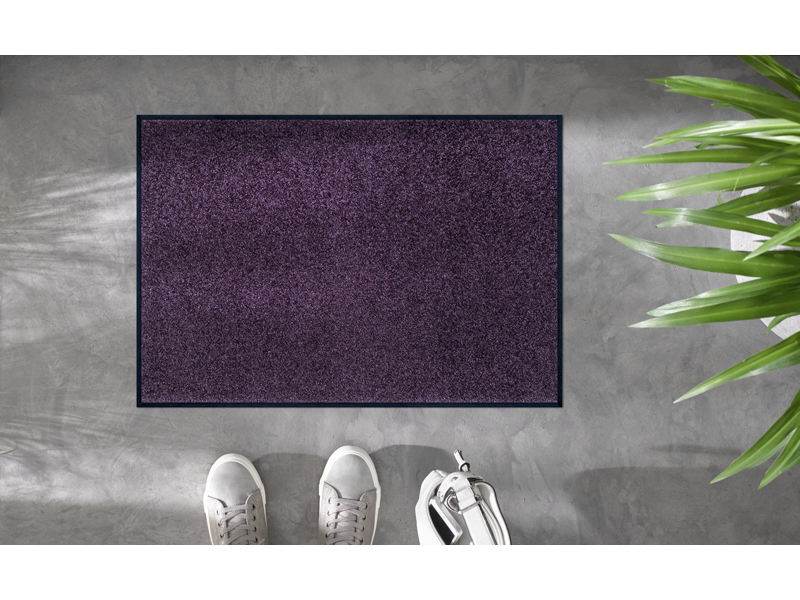 Trendcolour Velvet Purple wash + dry Matte
