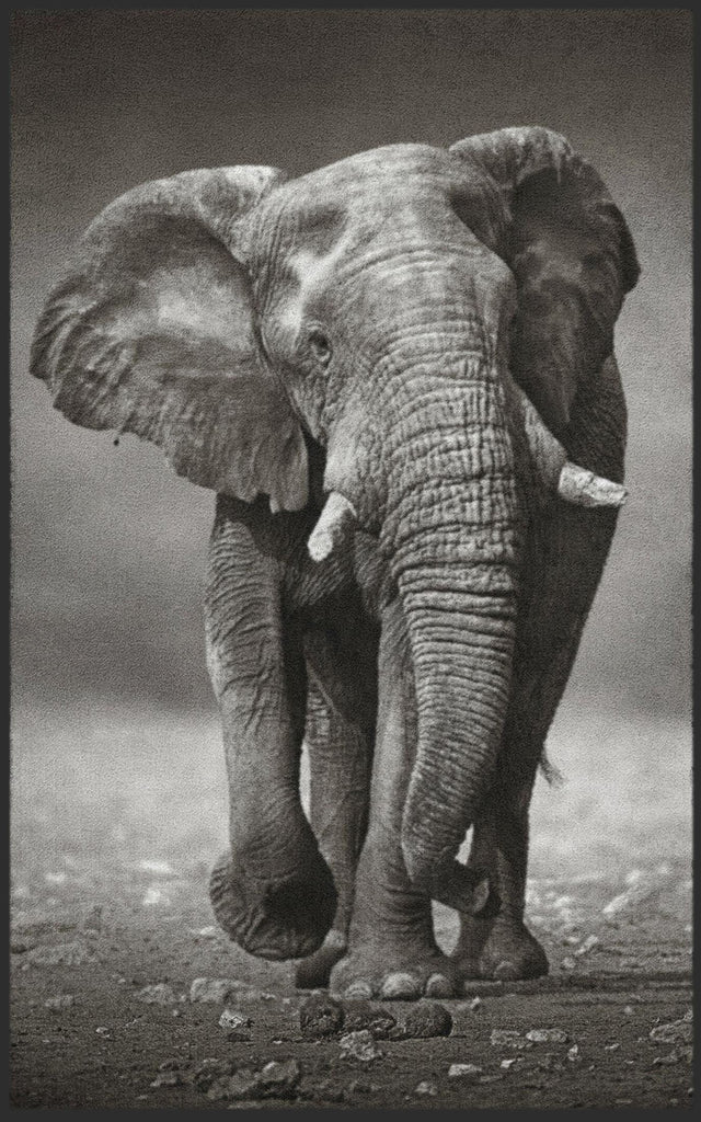 Fussmatte Elefant 7481