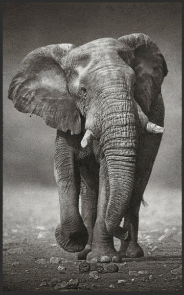 Fussmatte Elefant 7481