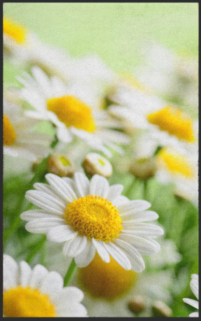 Fussmatte Gänseblümchen 7129
