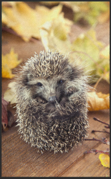 Fussmatte Igel 7084