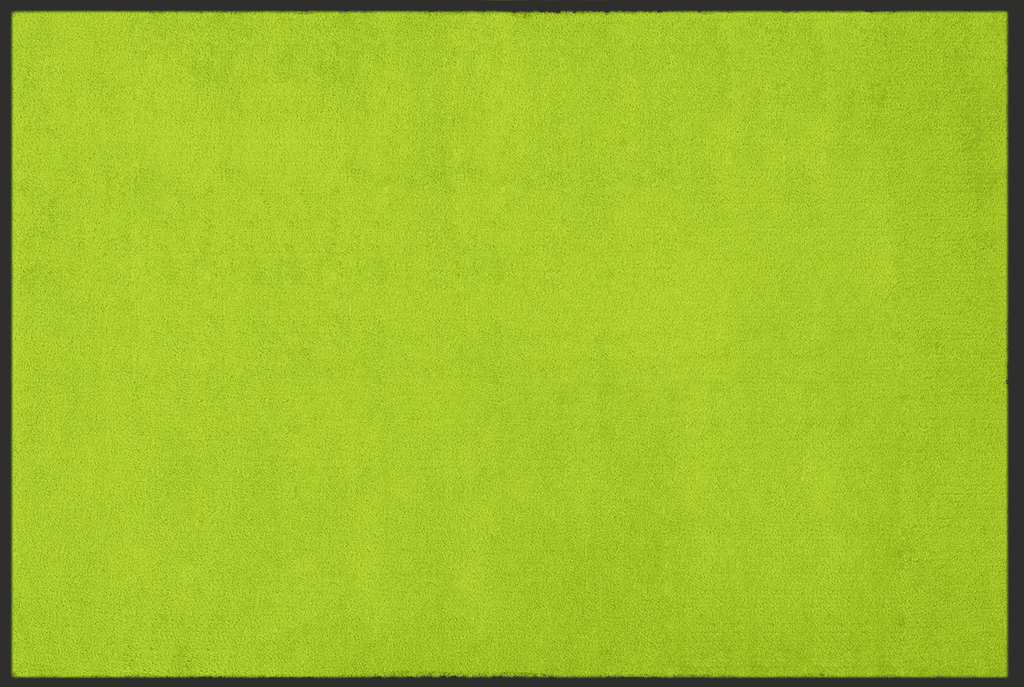 Fussmatte Kiwi