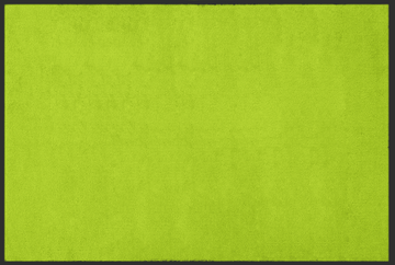 Fussmatte Kiwi