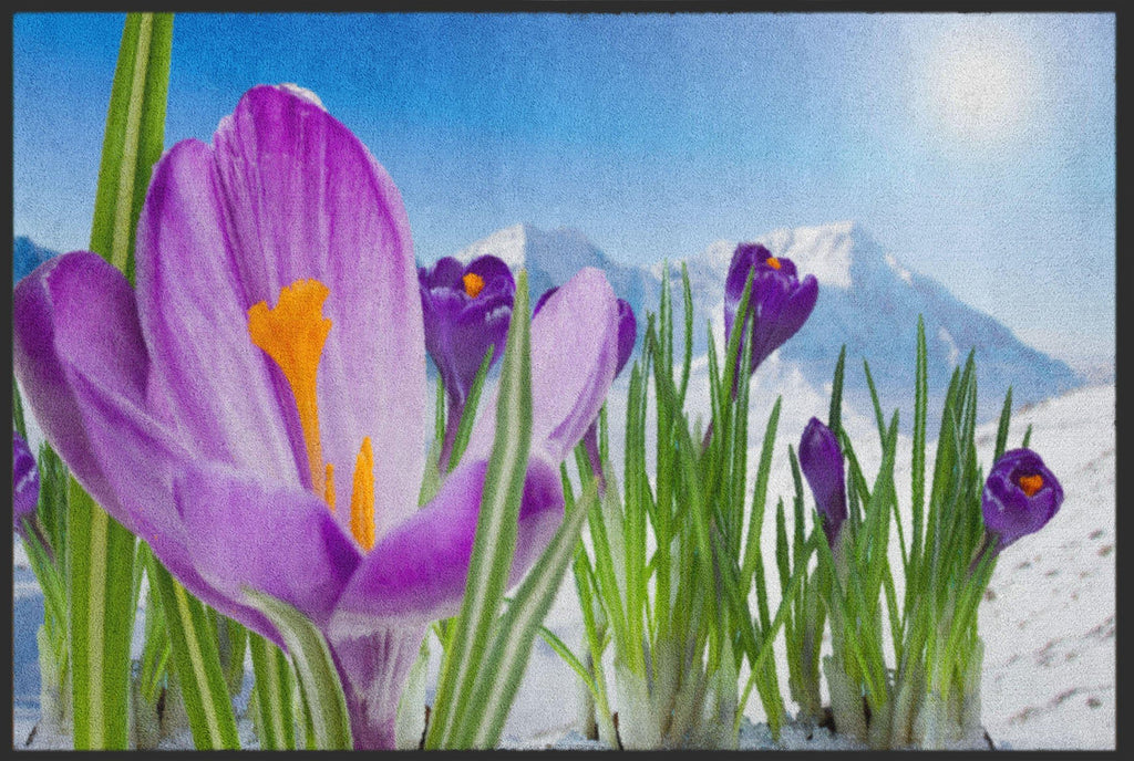 Fussmatte Krokus 4847