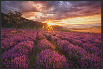 Fussmatte Lavendel 4865