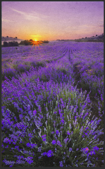 Fussmatte Lavendel 7139