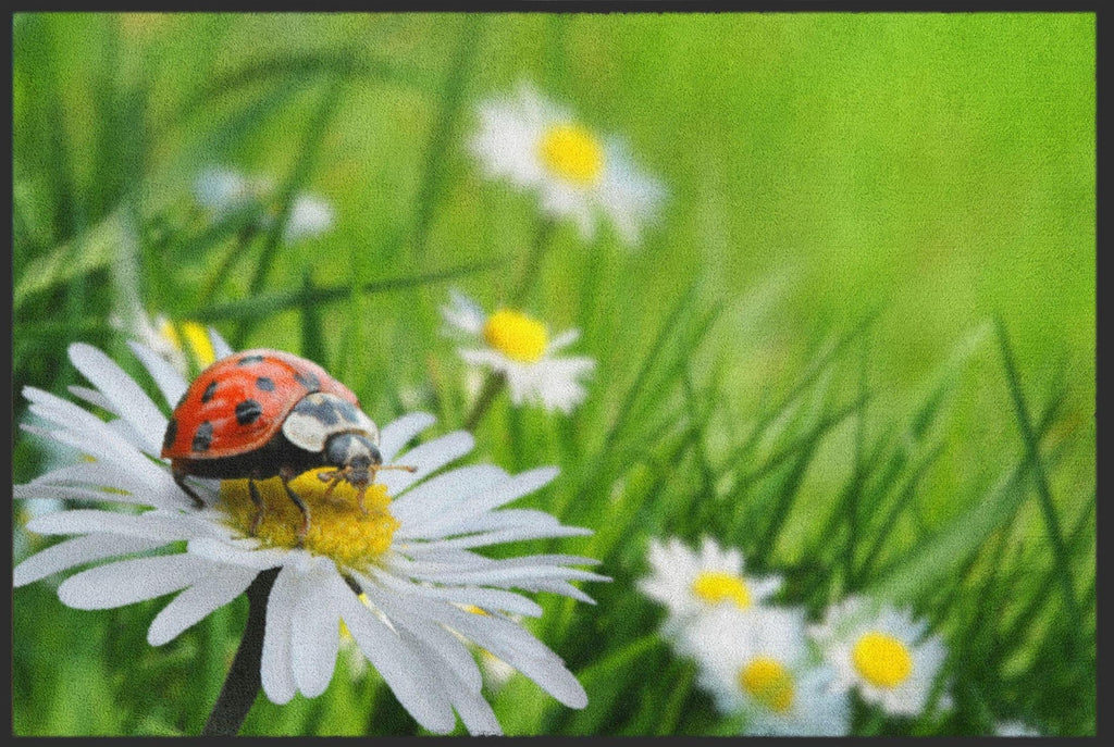 Fussmatte Marienkäfer 4317