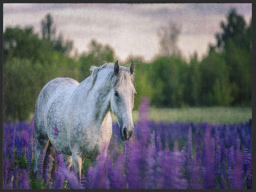 Fussmatte Pferd 4981