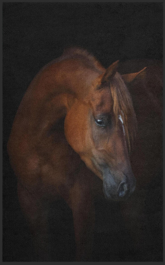 Fussmatte Pferd 7288