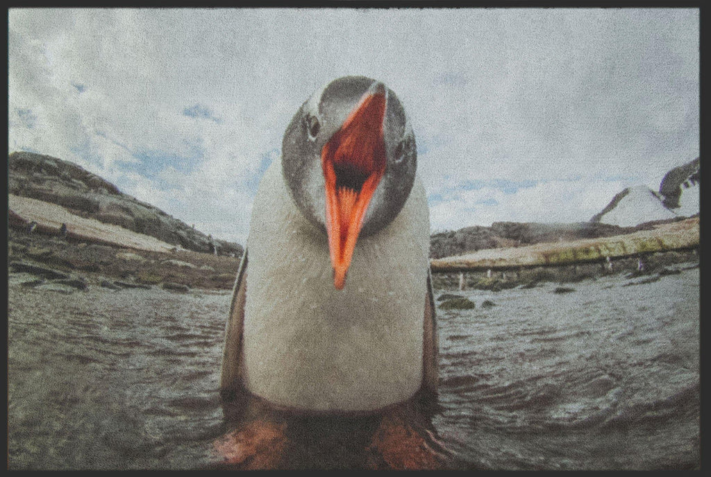 Fussmatte Pinguin 4810