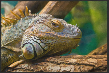 Fussmatte Reptil 6212
