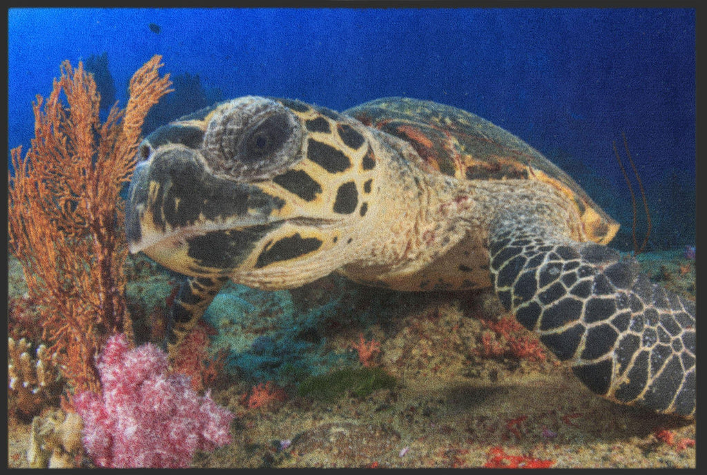 Fussmatte Schildkröte 6325