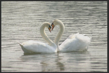 Fussmatte Schwan 4193