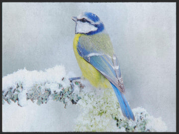 Fussmatte Vogel 5014