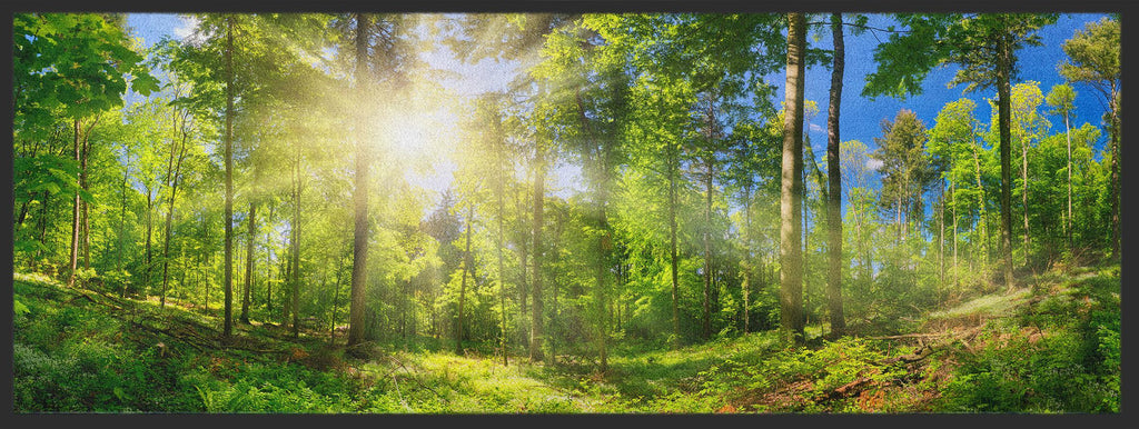 Läufer Wald 10284