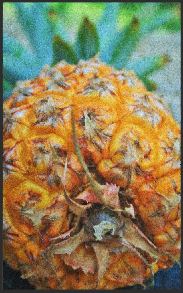 Fussmatte Ananas 7591-Logomatten Welt
