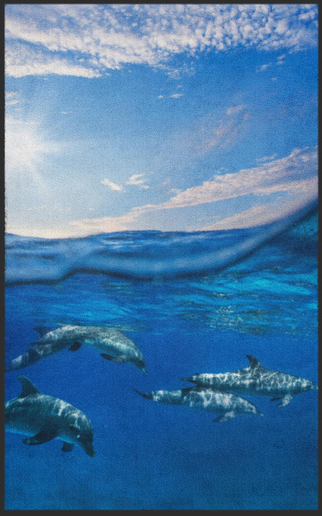 Fussmatte Delfin 7683-Logomatten Welt