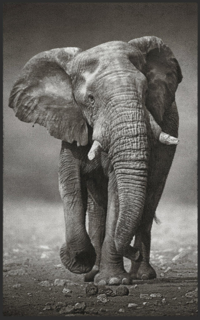 Fussmatte Elefant 7481-Logomatten Welt