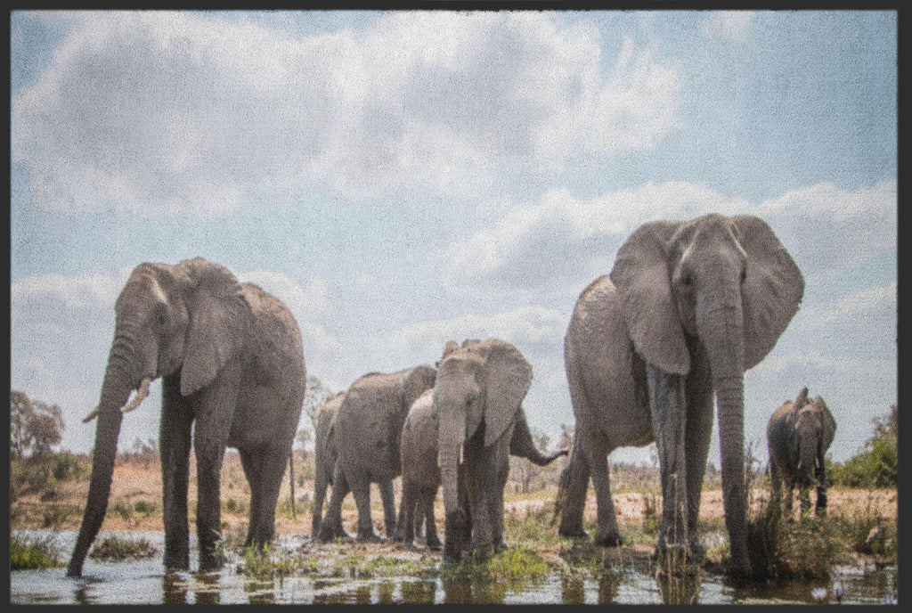 Fussmatte Elefanten 4518-Logomatten Welt