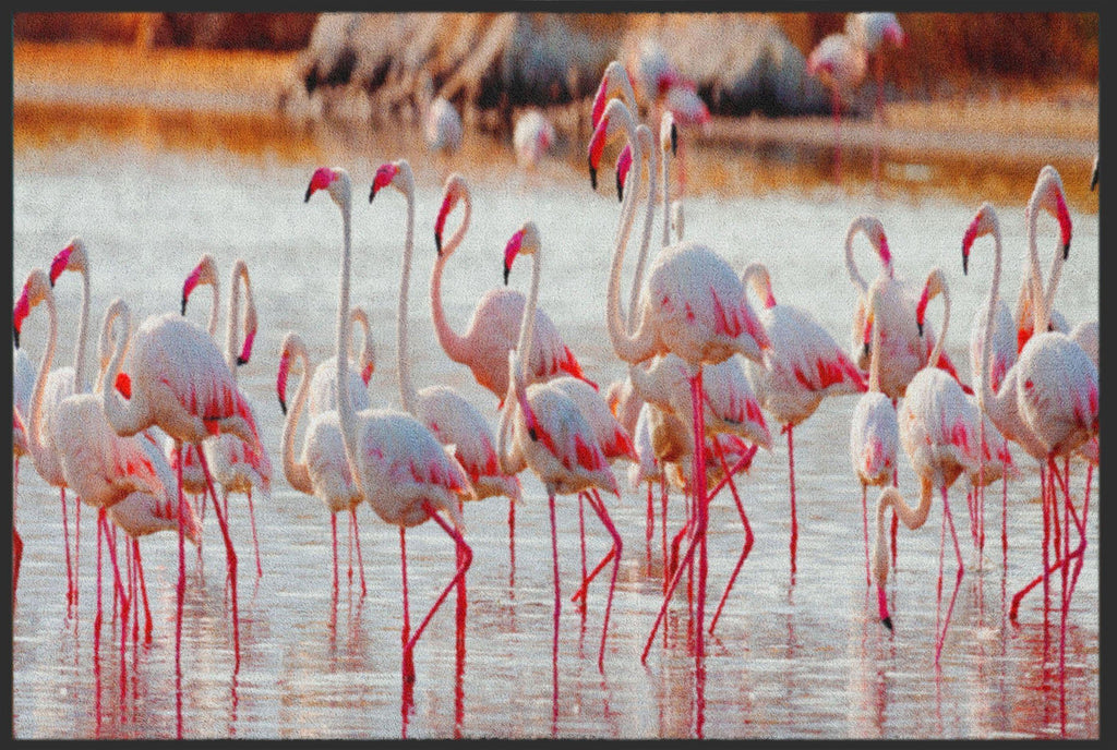 Fussmatte Flamingo 4821-Logomatten Welt