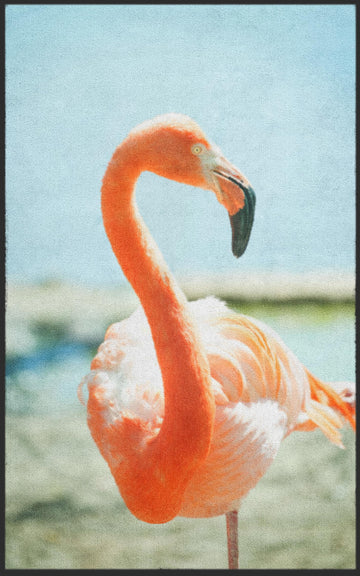 Fussmatte Flamingo 7780-Logomatten Welt