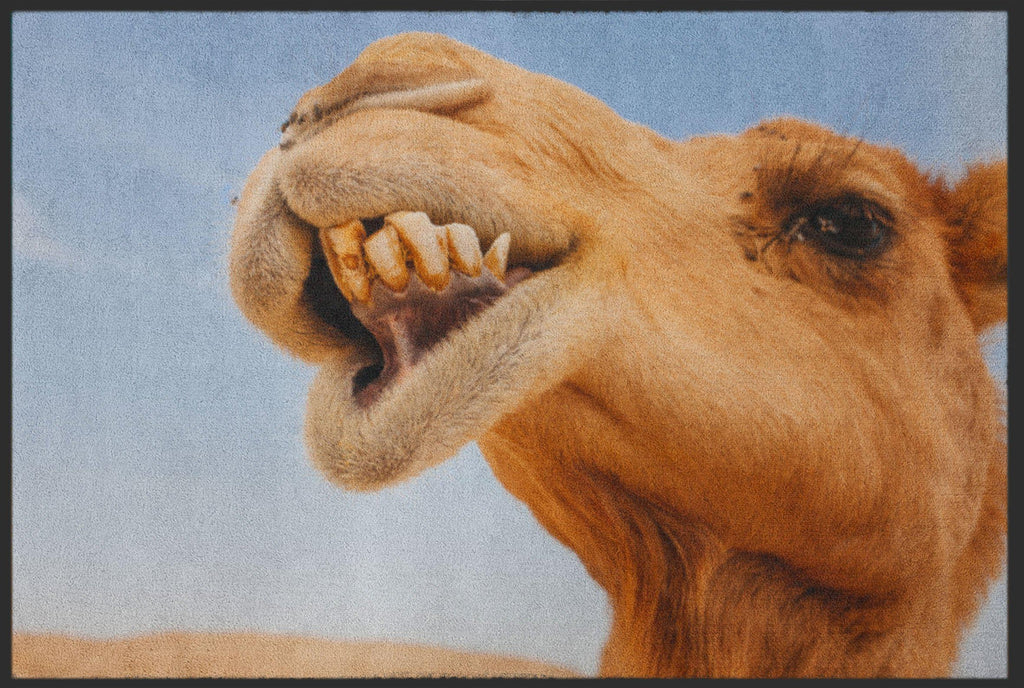 Fussmatte Kamel 6328-Logomatten Welt