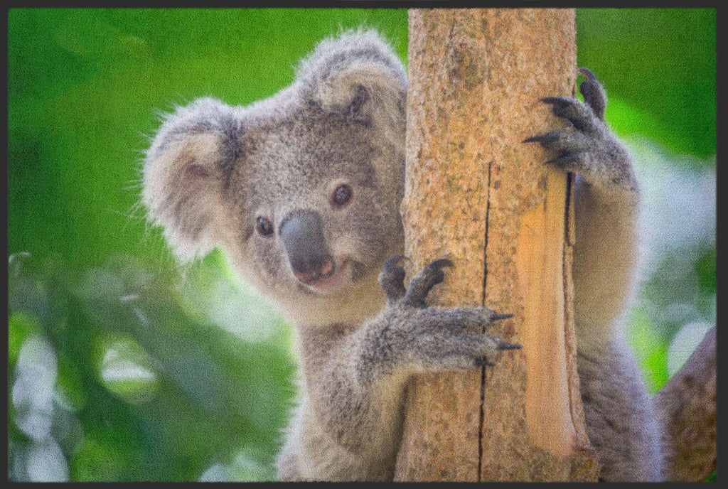 Fussmatte Koala 4516-Logomatten Welt