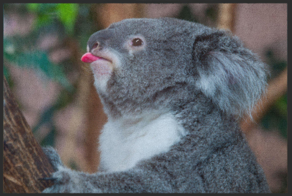 Fussmatte Koala 4813-Logomatten Welt