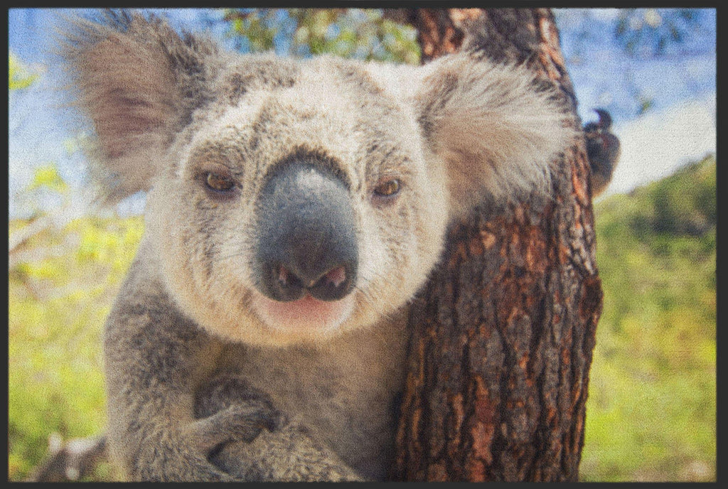 Fussmatte Koala 5085-Logomatten Welt
