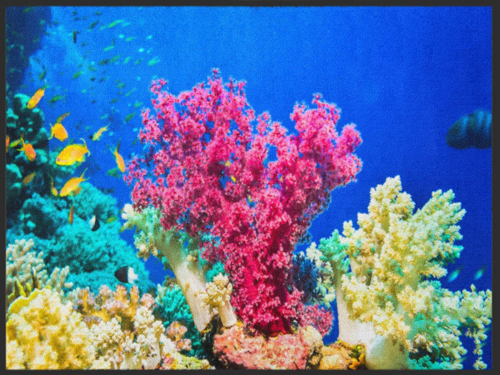 Fussmatte Koralle 4991-Logomatten Welt