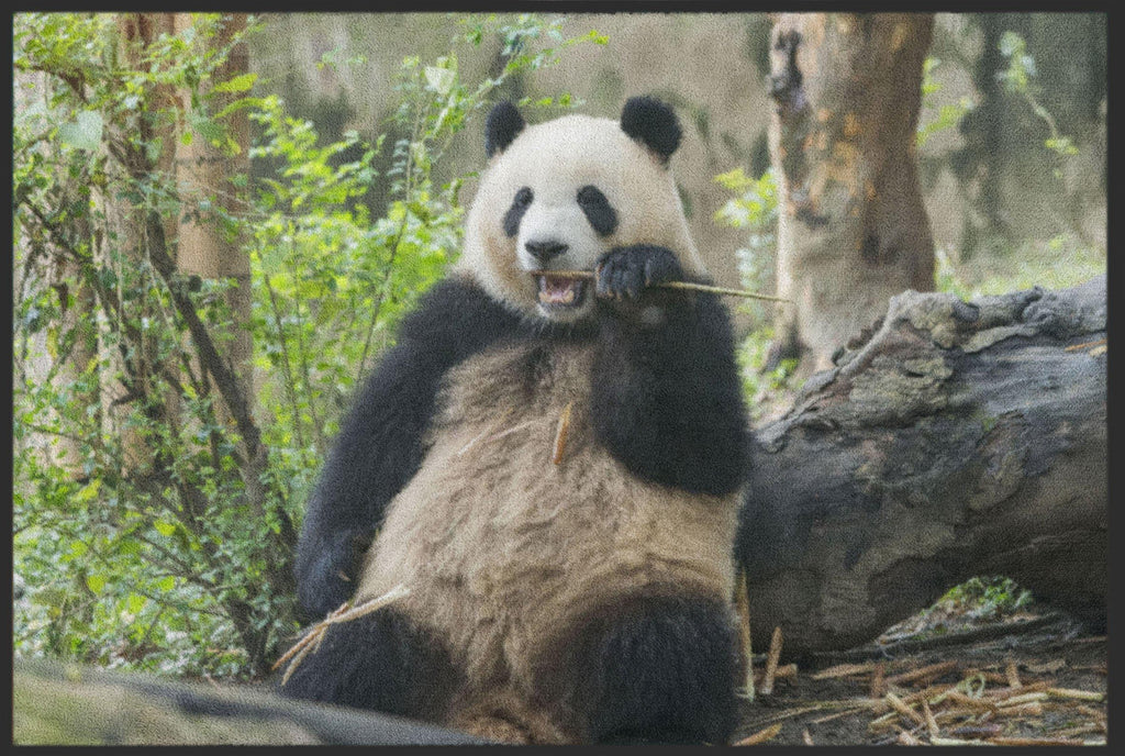Fussmatte Pandabär 4526-Logomatten Welt
