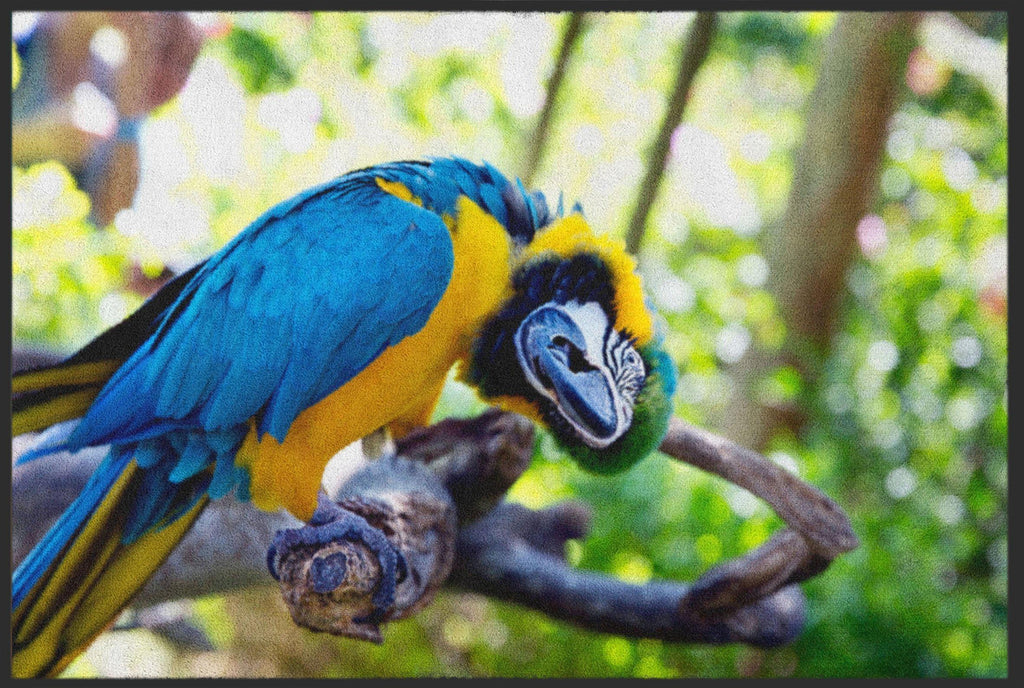 Fussmatte Papagai 4540-Logomatten Welt
