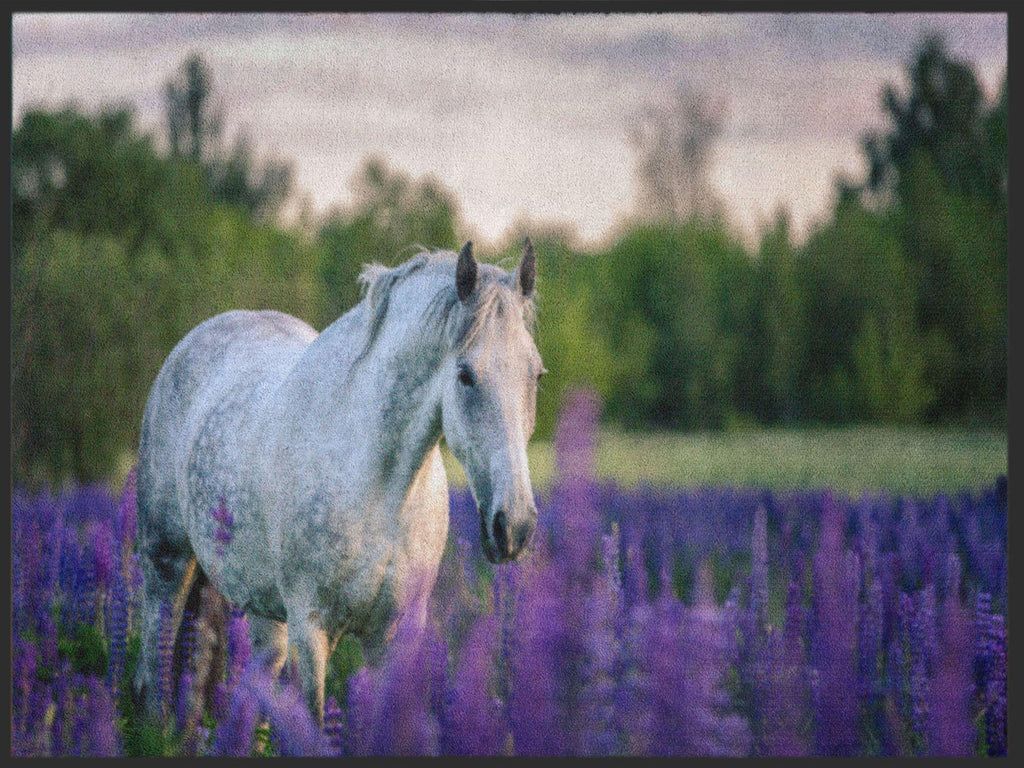 Fussmatte Pferd 4981-Logomatten Welt