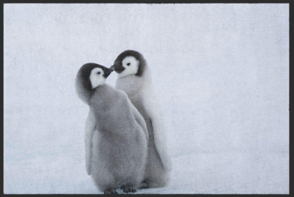 Fussmatte Pinguin 4812-Logomatten Welt