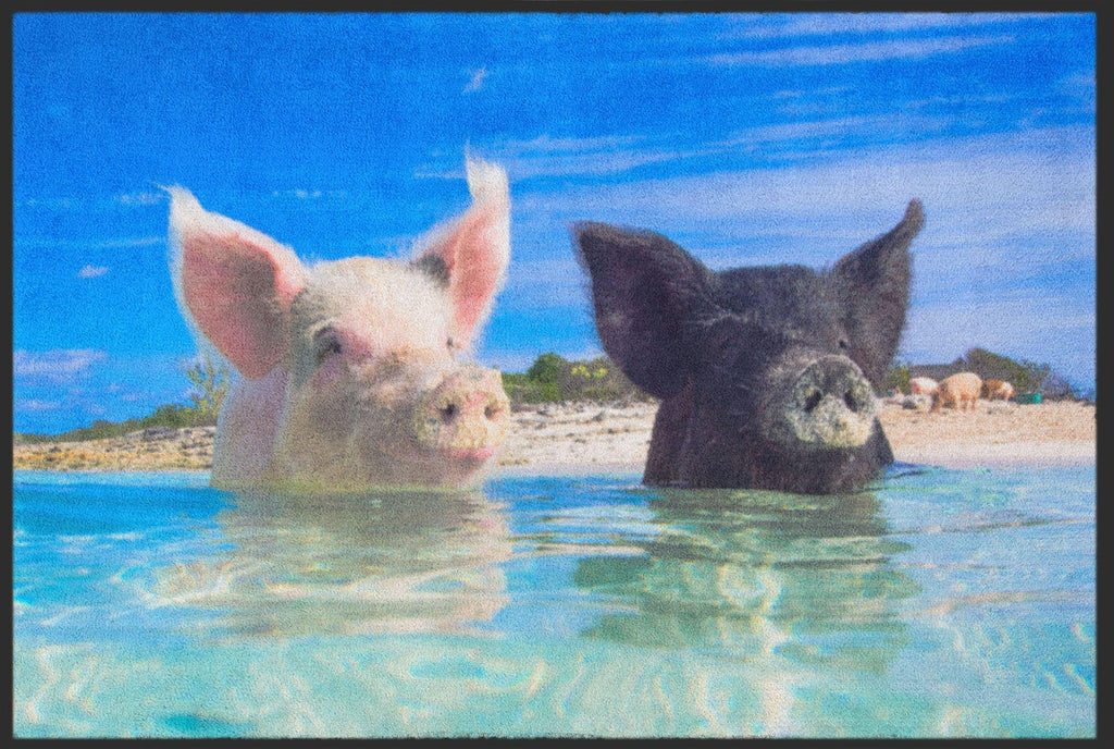 Fussmatte Schweine Bahamas 4530-Logomatten Welt
