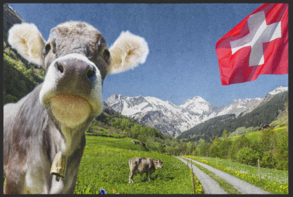 Fussmatte Schweiz 4506-Logomatten Welt